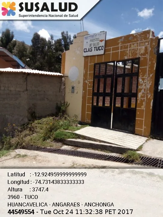 Tuco en Anchonga, Huancavelica