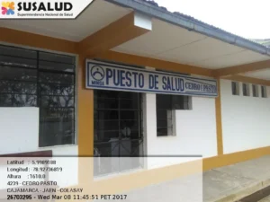 Cedro Pasto