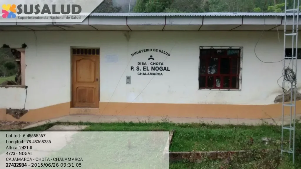 Nogal en Chalamarca, Cajamarca