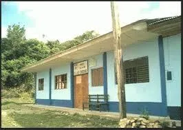 Puña