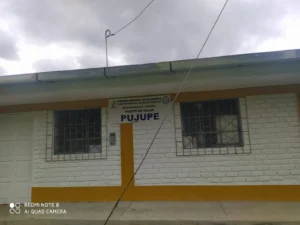 Pujupe