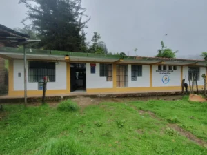 Puchuden