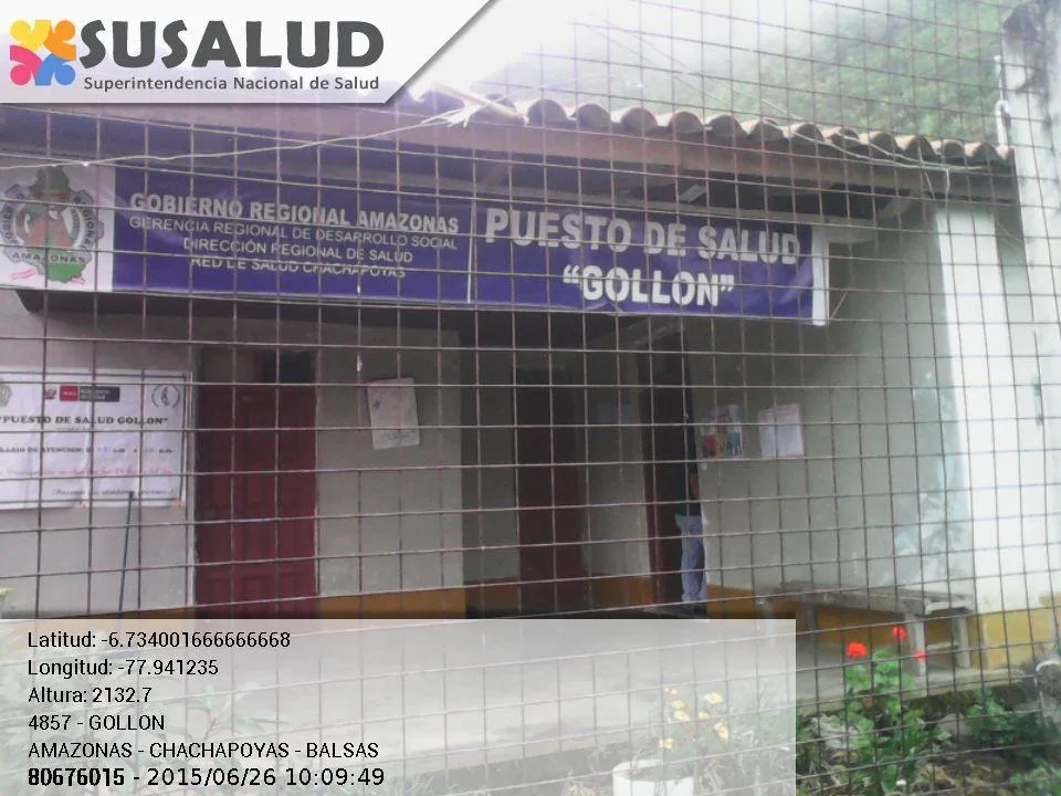 Gollon en Balsas, Amazonas