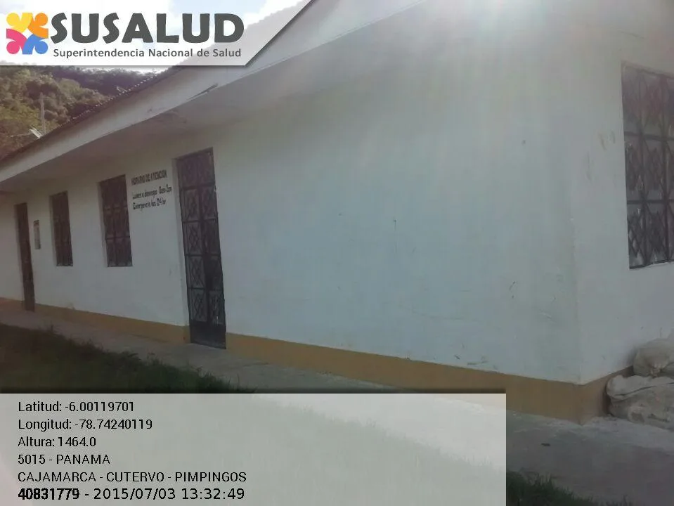 Panama en Pimpingos, Cajamarca