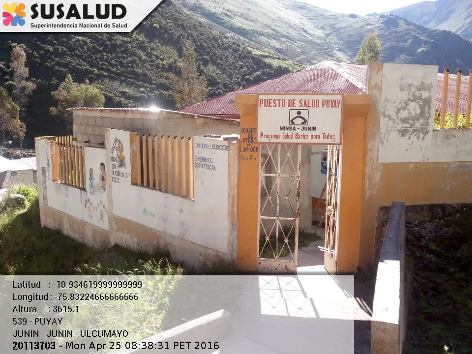 Puyay en Ulcumayo, Junin