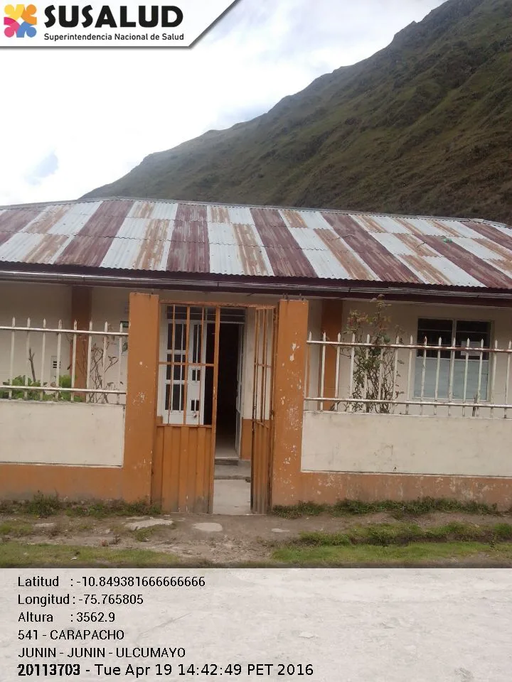 Carapacho en Ulcumayo, Junin