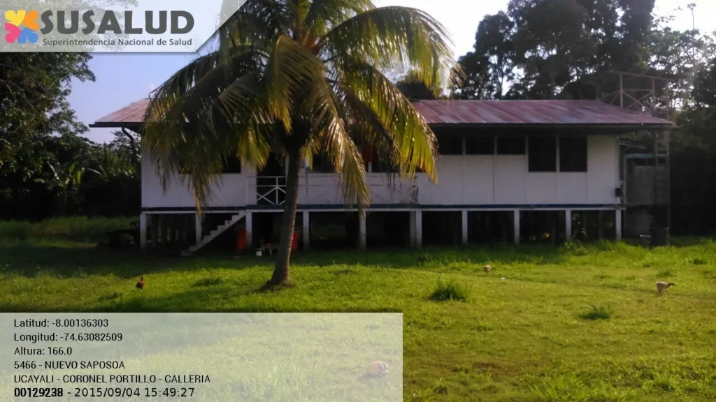 Nuevo Saposoa en Calleria, Ucayali