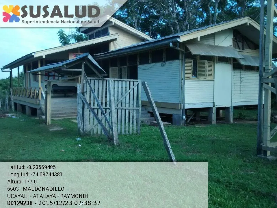 Maldonadillo en Raimondi, Ucayali
