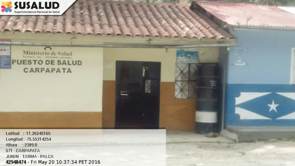 Carpapata en Palca, Junin