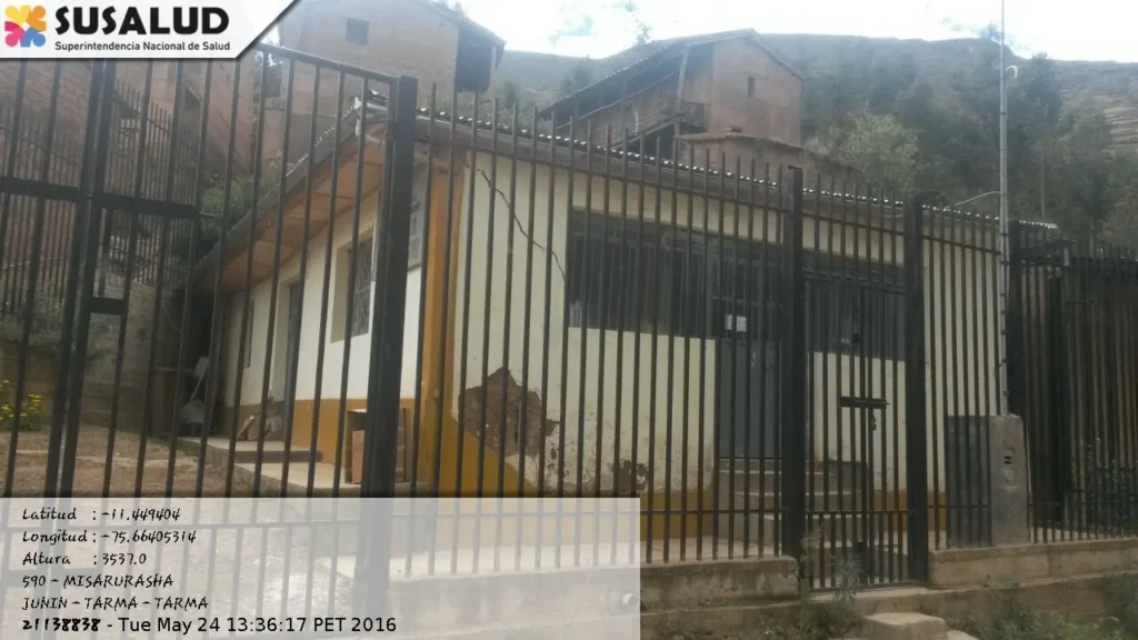 Misarurasha en Tarma, Junin