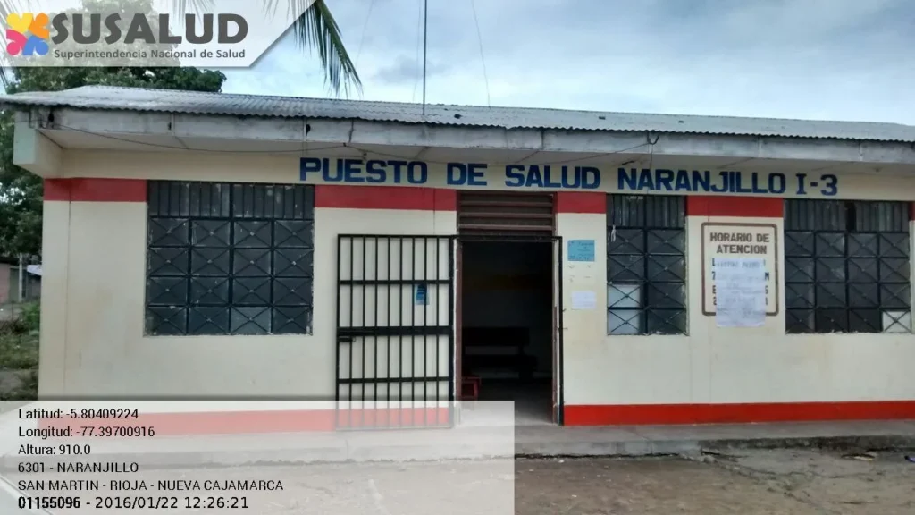 Naranjillo en Nueva Cajamarca, San Martin