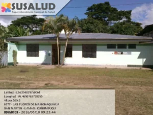 Las Flores de Mamonaquihua