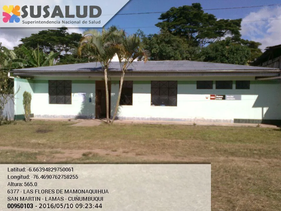 Las Flores de Mamonaquihua en Cuñumbuqui, San Martin