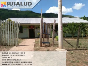 Mamonaquihua