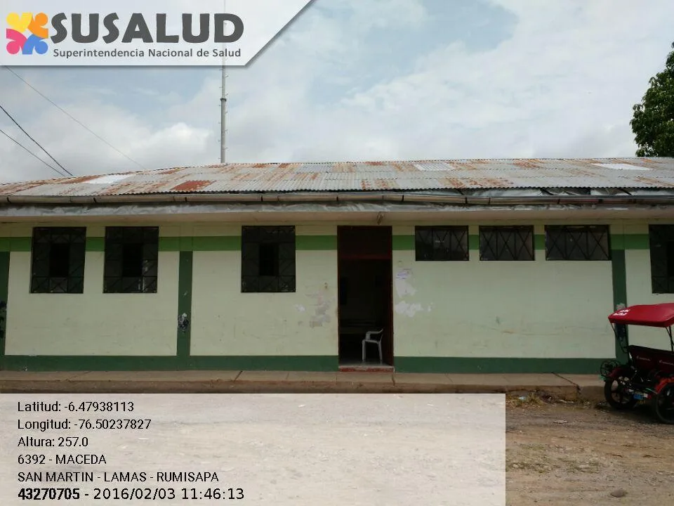 Maceda en Rumisapa, San Martin