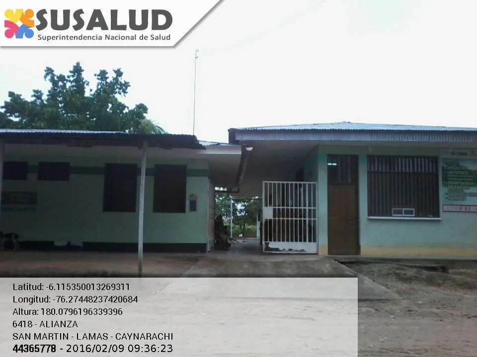 Alianza en Caynarachi, San Martin