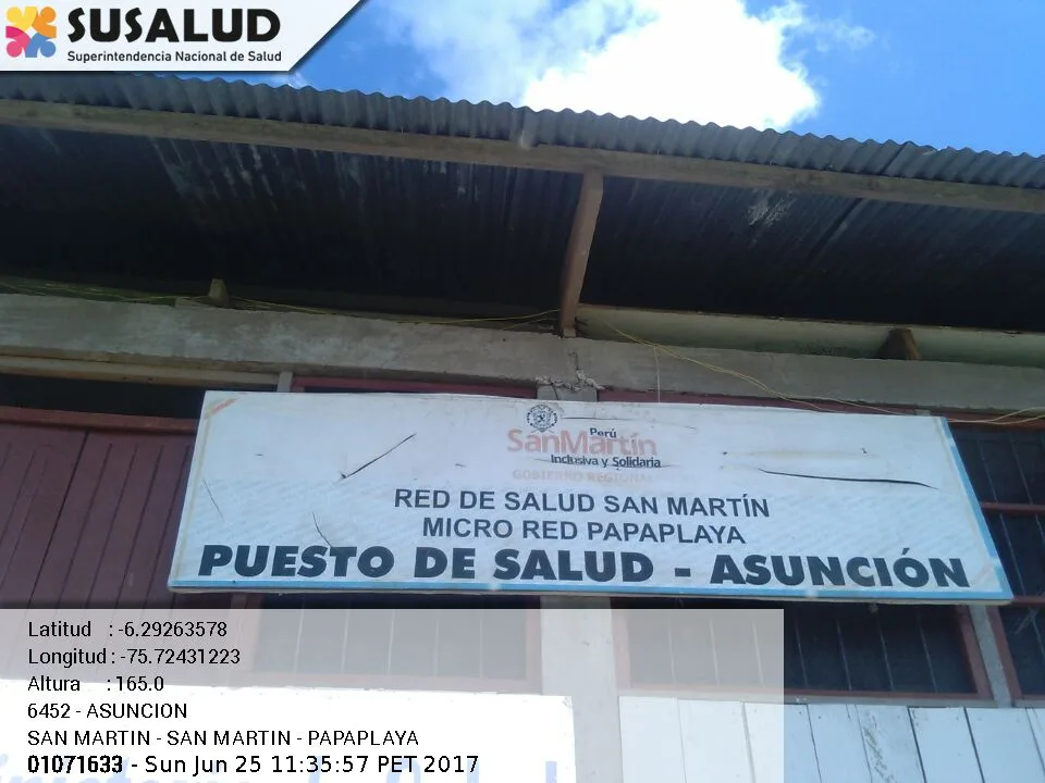 Asuncion en Papaplaya, San Martin