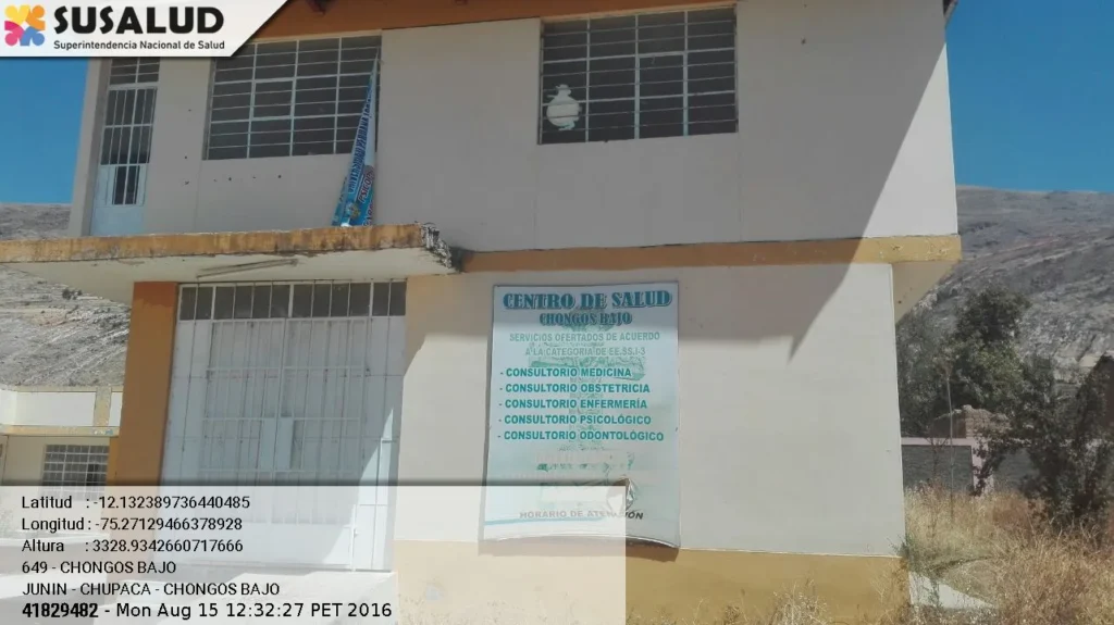 Chongos bajo en Junin