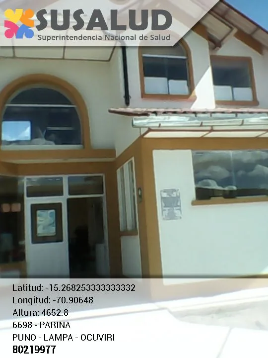 Parina en Ocuviri, Puno