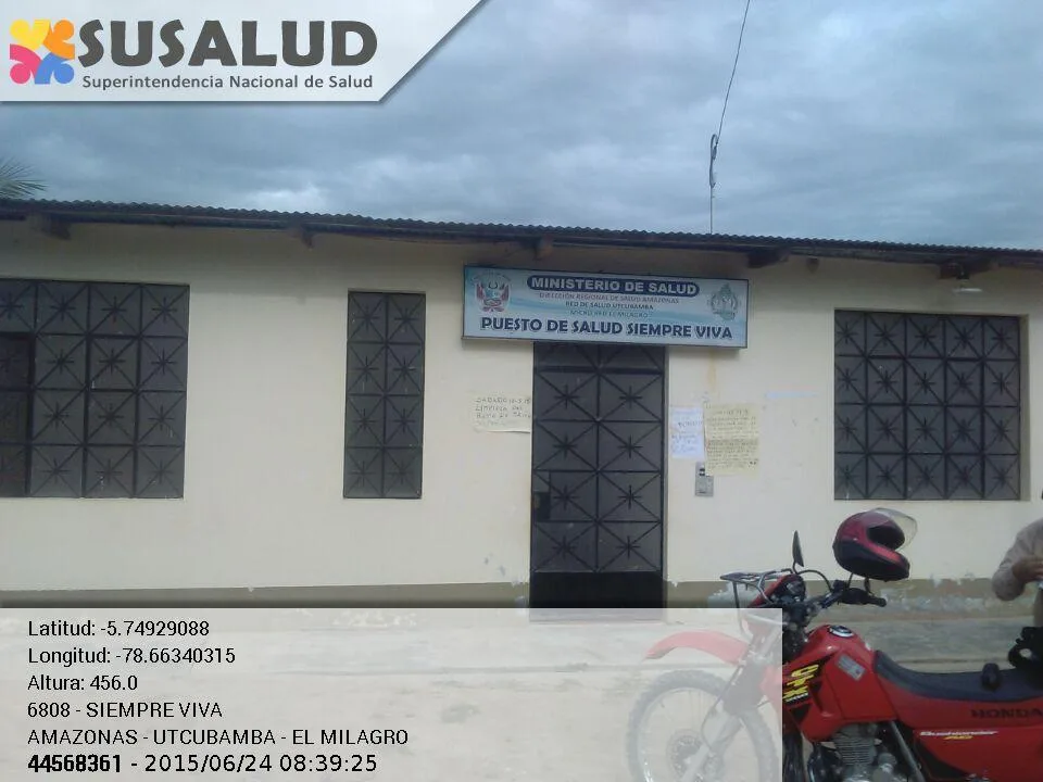Siempre Viva en El Milagro, Amazonas