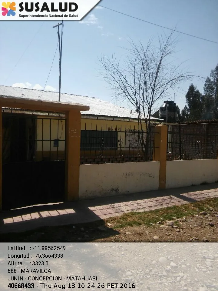 Maravilca en Matahuasi, Junin