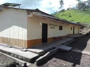 Pisaguas
