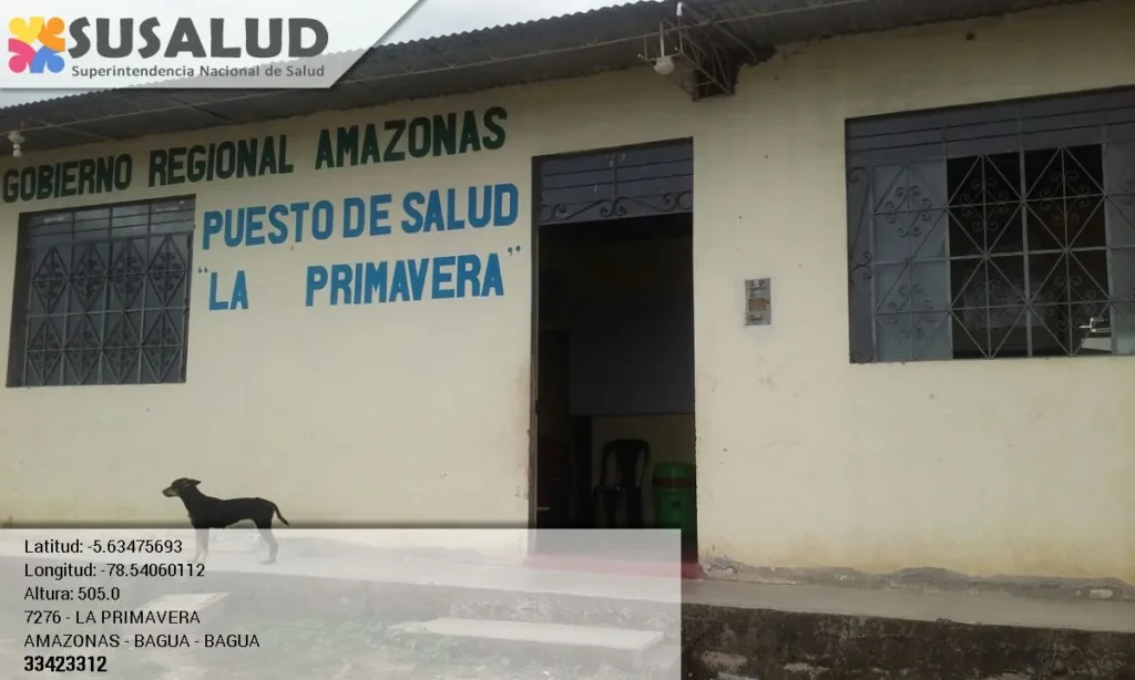 La Primavera en Bagua, Amazonas