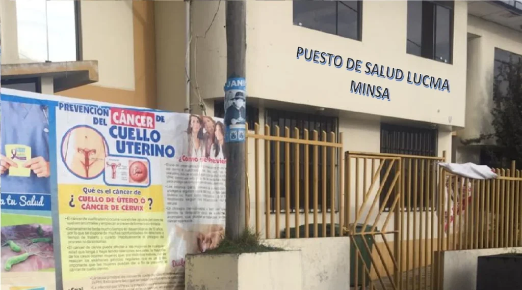 Lucma en Huachon, Pasco