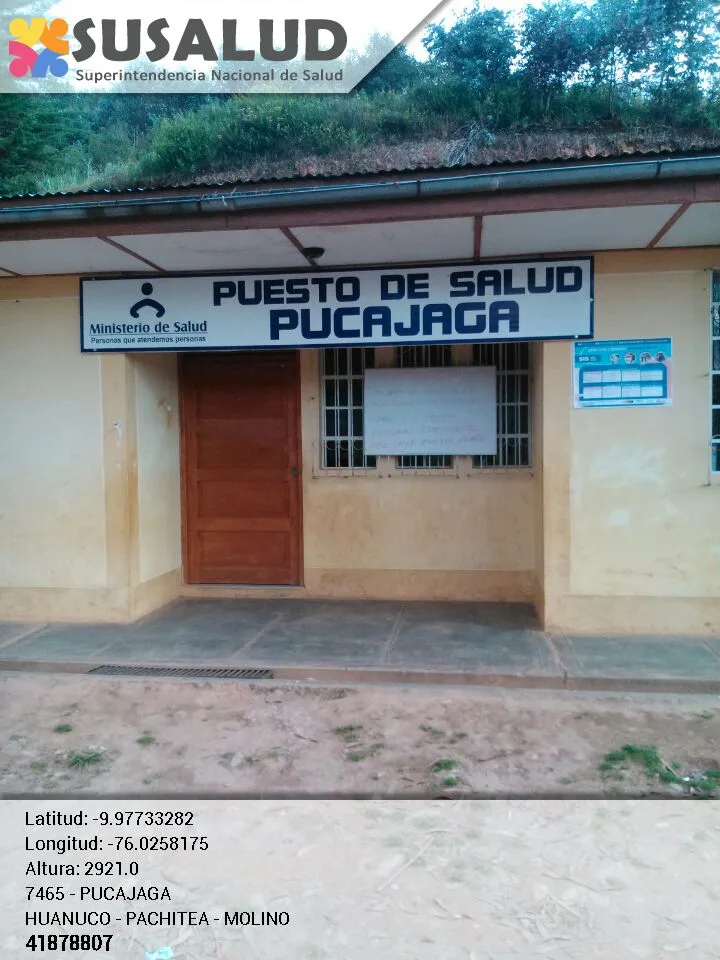 Pucajaga en Molino, Huanuco