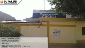 Cuculi