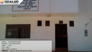 Collo