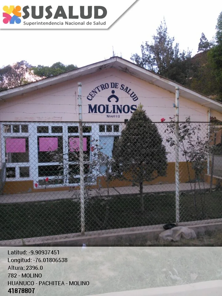 Molinos en Huanuco