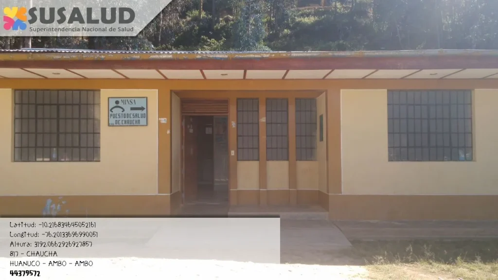 Chaucha en Ambo, Huanuco