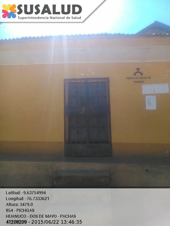 Pichgas en Pachas, Huanuco