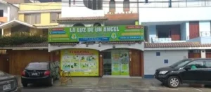Institucion para el Desarrollo Psicopedagogico del Niño y el Adolescente la Luz de Un Angel Srl
