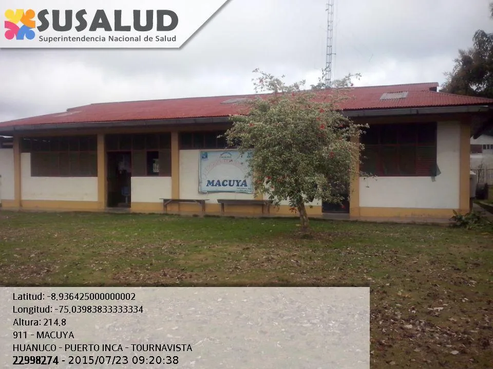 Macuya en Tournavista, Huanuco